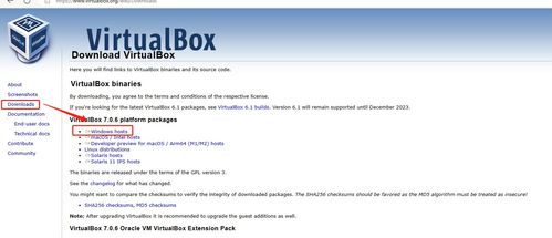 網絡工程師必備軟件 ENSP、VirtualBox與抓包工具安裝全指南